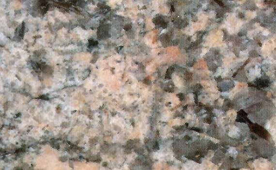 color reef 1682