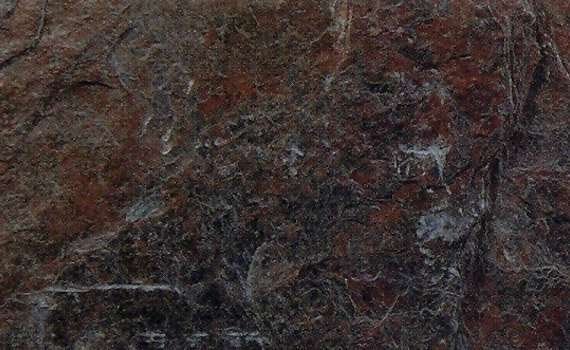 copper 2481