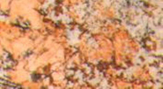 coral spring 4722