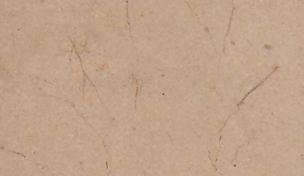 corinthian beige 4020