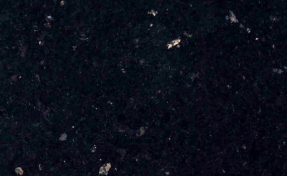 cosmos black 2985
