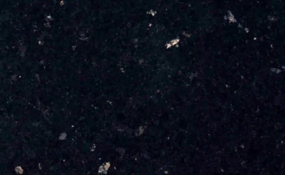 cosmos black 2985