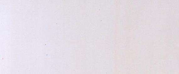 covelanolasa white 4747