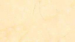 cream beige 3684