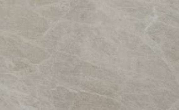cream chantilly 6384