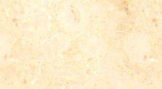 cream samaha 3695