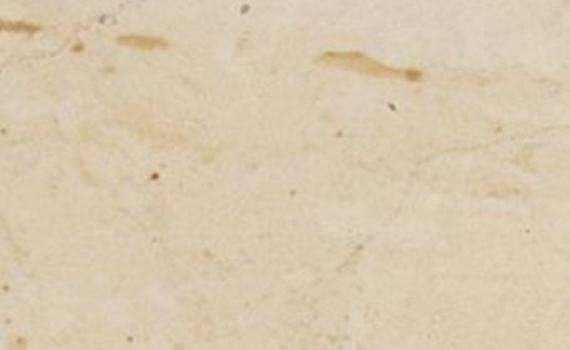 crema dorata 6804