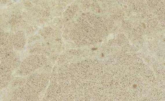 crema levante 7049