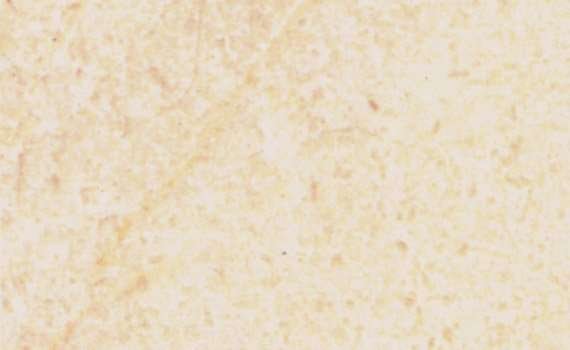 crema marfil 737