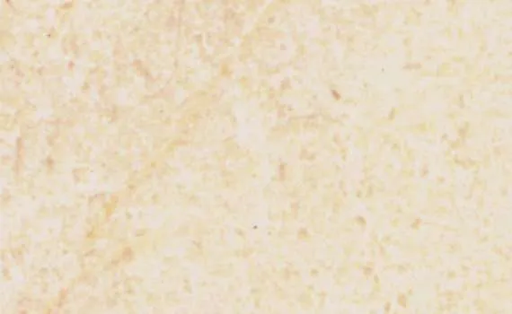 crema marfil 737