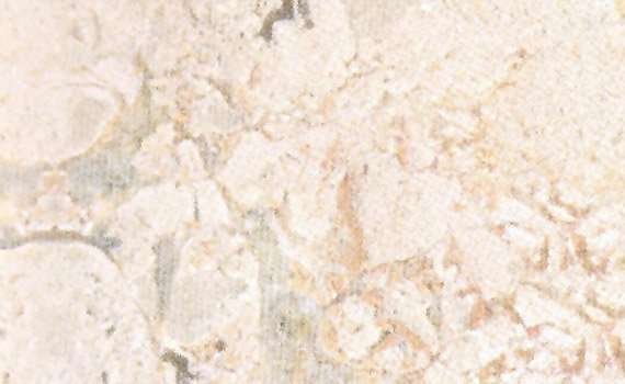 crema nuova 1565