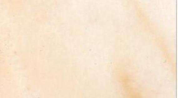 creme veined 4762