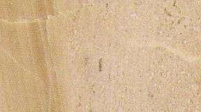 daino 4605