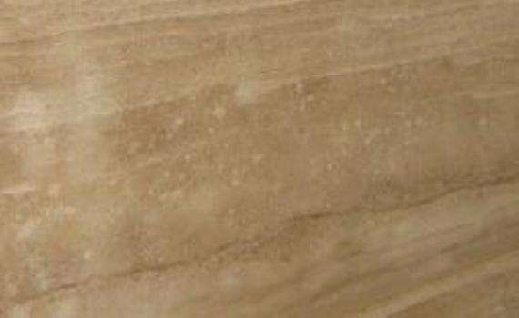 daino vena dritta 7197