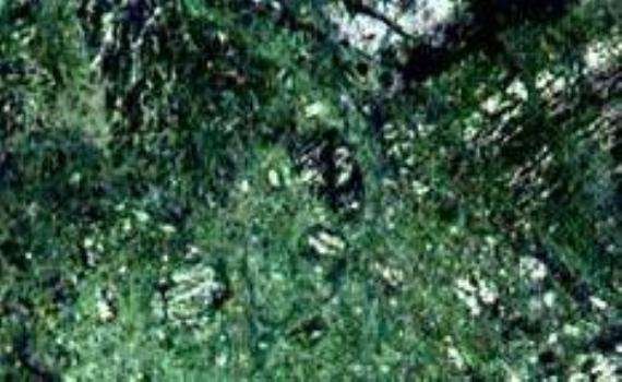 dark green marble 6422