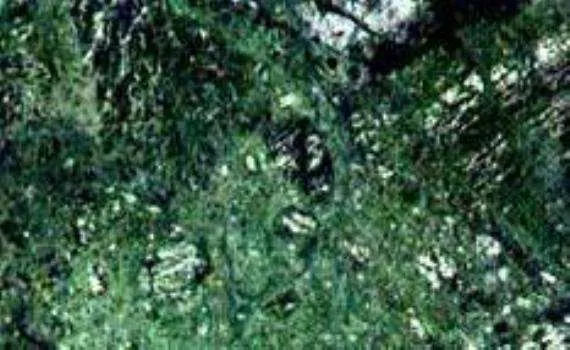 dark green marble 6422