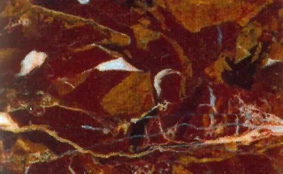 Diaspro Sicilia Marble diaspro sicilia 1299