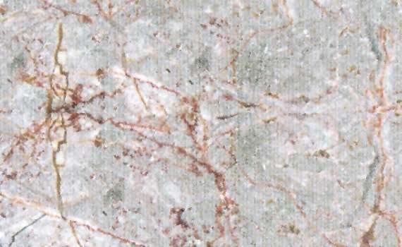 dove 1396