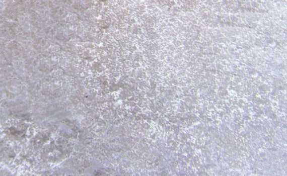 dunas white 469