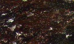 eart glitter 3655