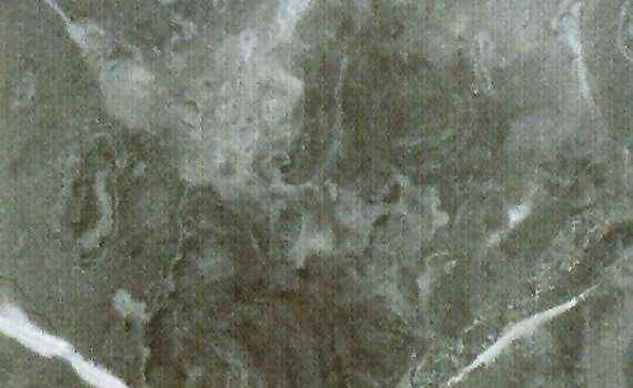 fior di bosco 1386
