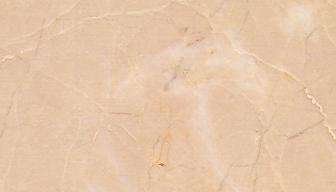 fossil cream 4207