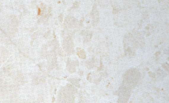 french vanila 1551