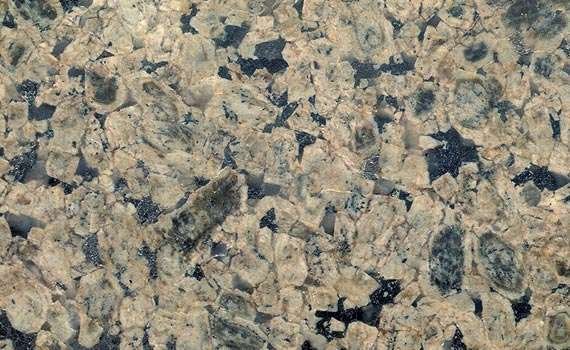 Ghazal Dark Granite ghazal dark 773