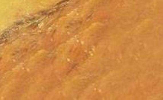 Giallo Da Vinci giallo da vinci 6229