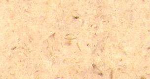 giallo sinai 3697