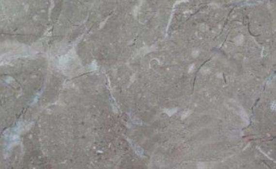 glory grey 7707