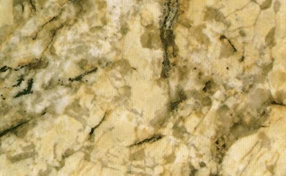 gold and silver 295
