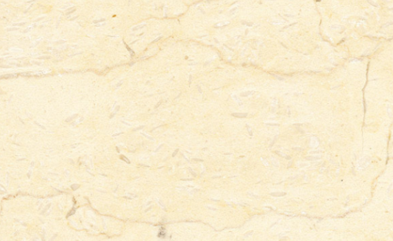 golden cream 3545