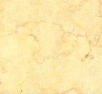 golden cream flower 3113