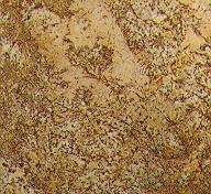 golden lion 3010