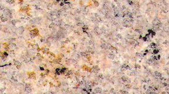 golden sesame 4885
