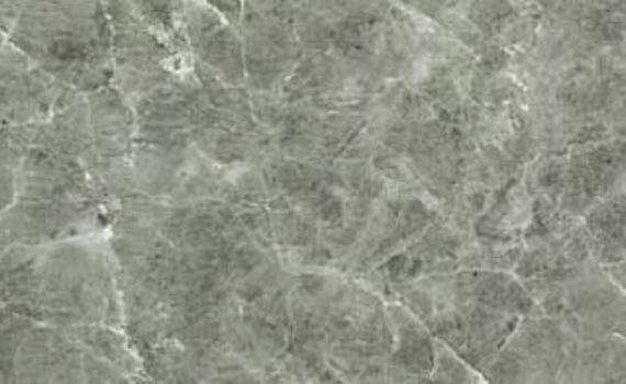 gortyna gray 7528