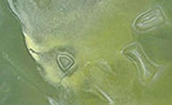 green onyx 7331