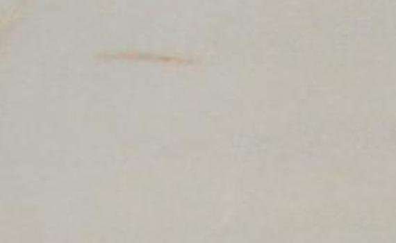 grey beige 7239