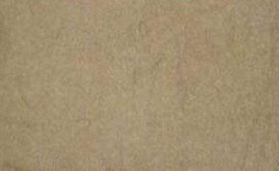 grey foussana 7008