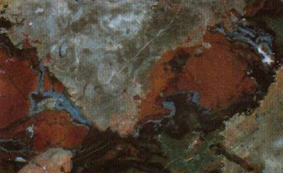 gris antique 1401