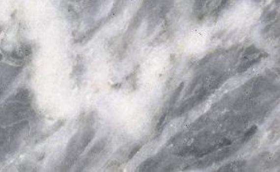 gris moncerveto 7366