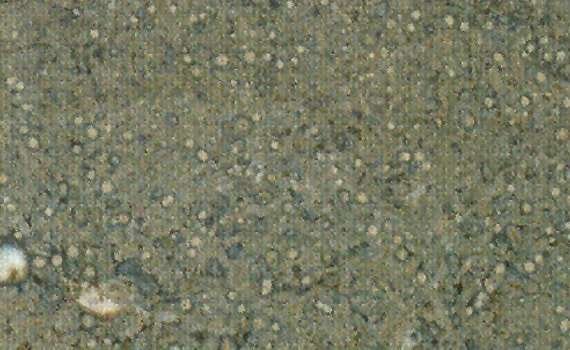 gris st jacques 1418