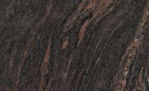 himalayan gandhi 6686