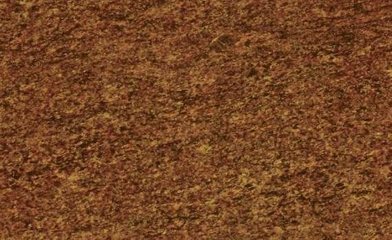 ikon brown 101