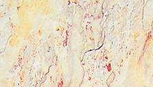 indian autunm natural 4567