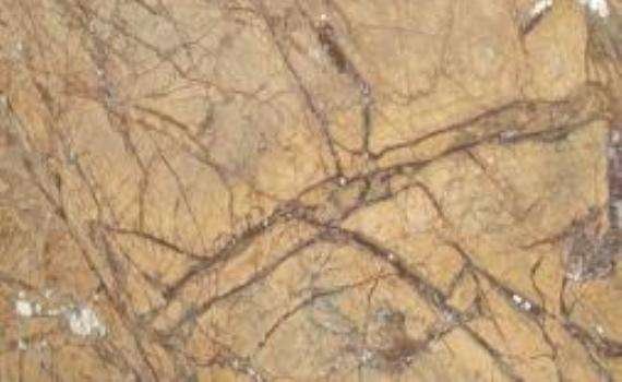 indian forest antique 5198