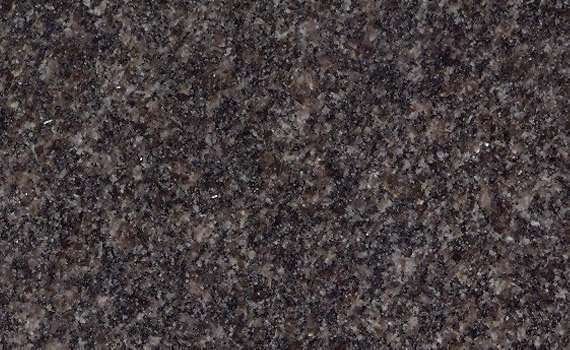 indian mahogany 2329