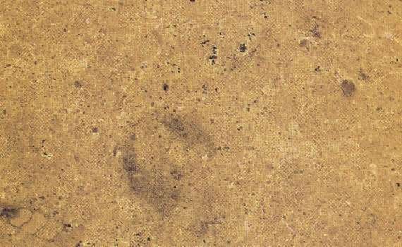 indus gold 2257