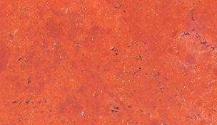 indus gold 3717